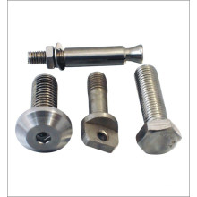 Special Screw and Non-Standard Screw As Per Drawing or Samples